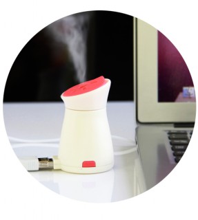 Little penguin aroma diffuser